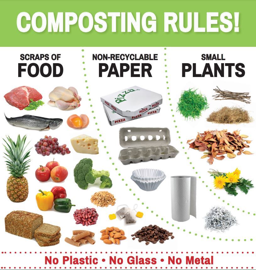 Pictures of various compostable items, such as food scraps banana peel meat egg cartor